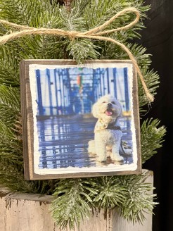 COLOR ORNAMENT